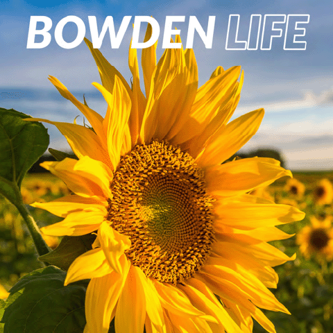 Bowden Life July 2023